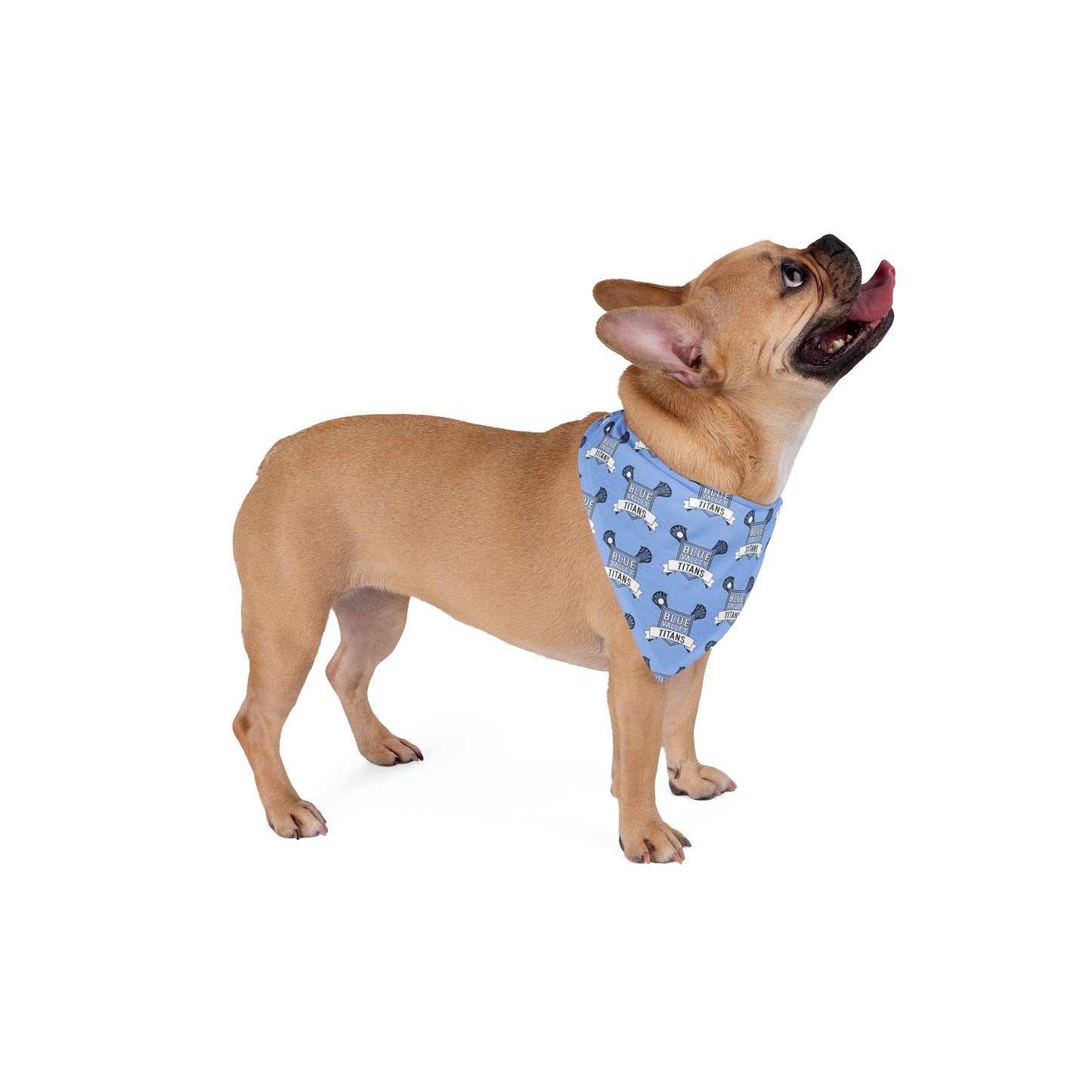 BV Titans Pet Bandana