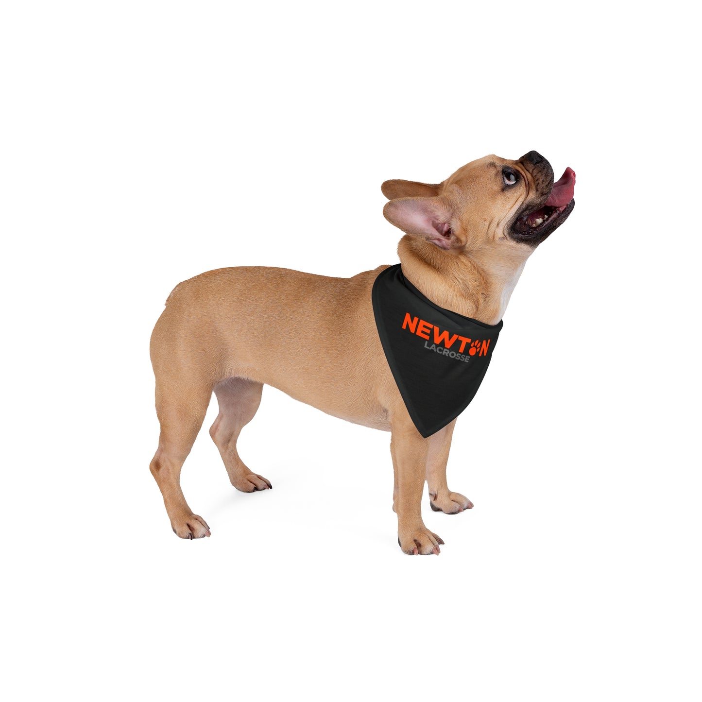 Newton Lacrosse Pet Bandana