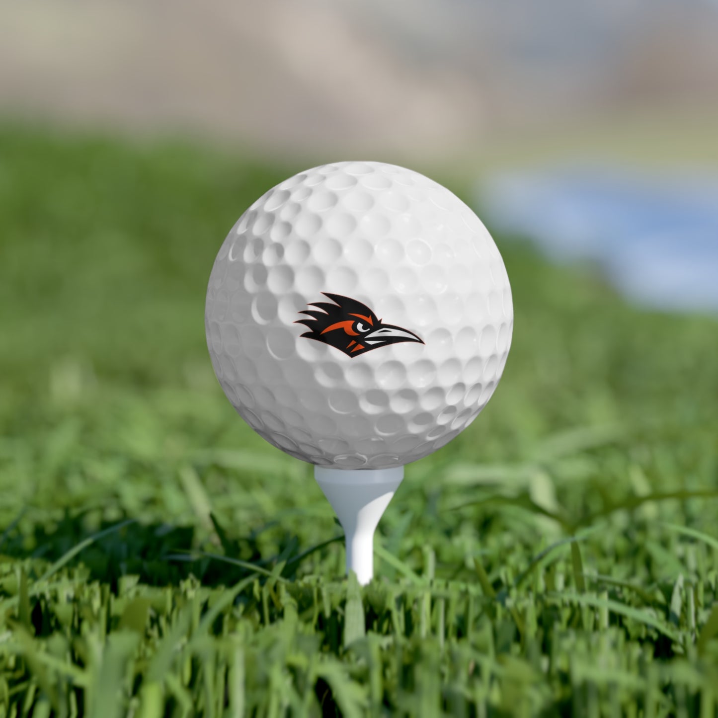 Ellington Roadrunners Golf Balls - 6 Pack