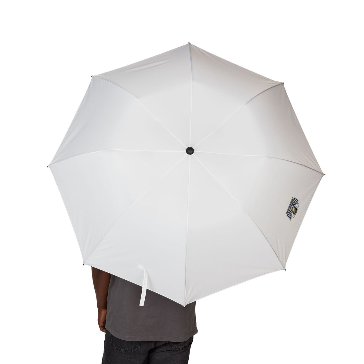 Blizzard Foldable Umbrella