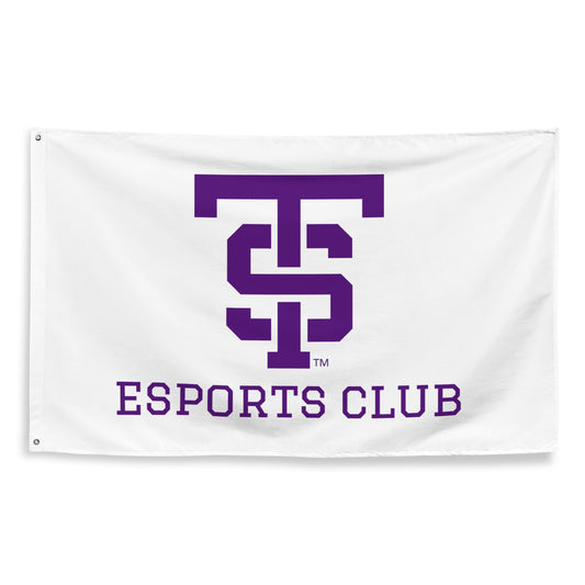 UST eSports Wall Flag (1 Sided)