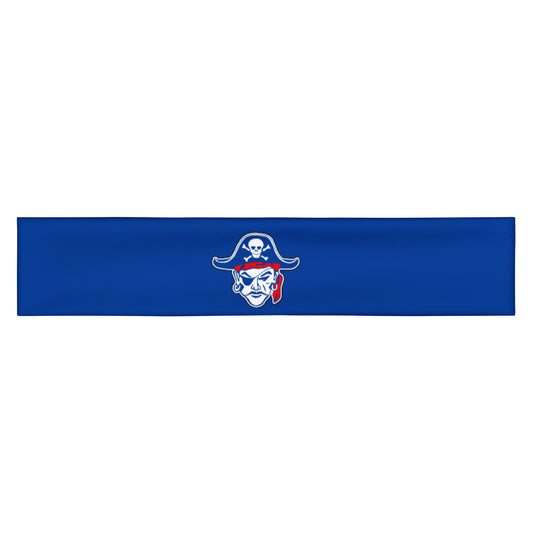 Fairport Football and Cheer Stretch Headband