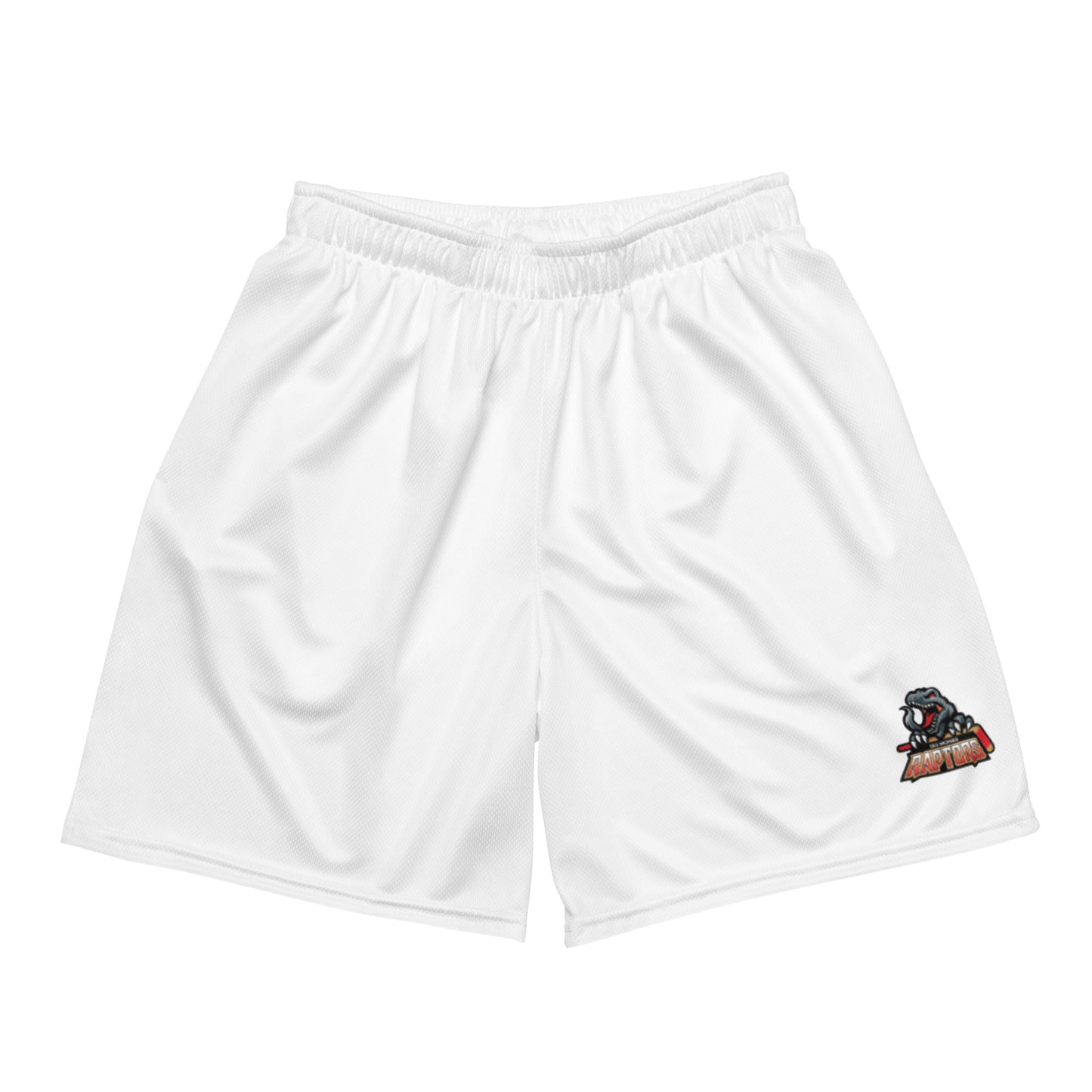 Adult Raptors Pocketed Athletic Shorts
