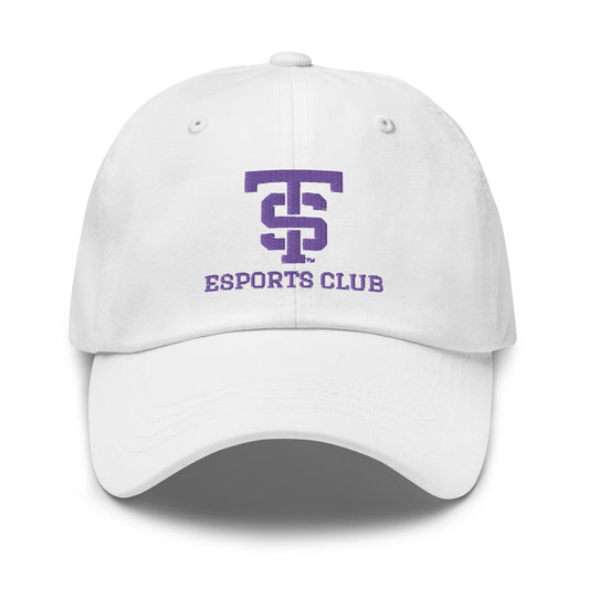 UST eSports Classic Dad Hat