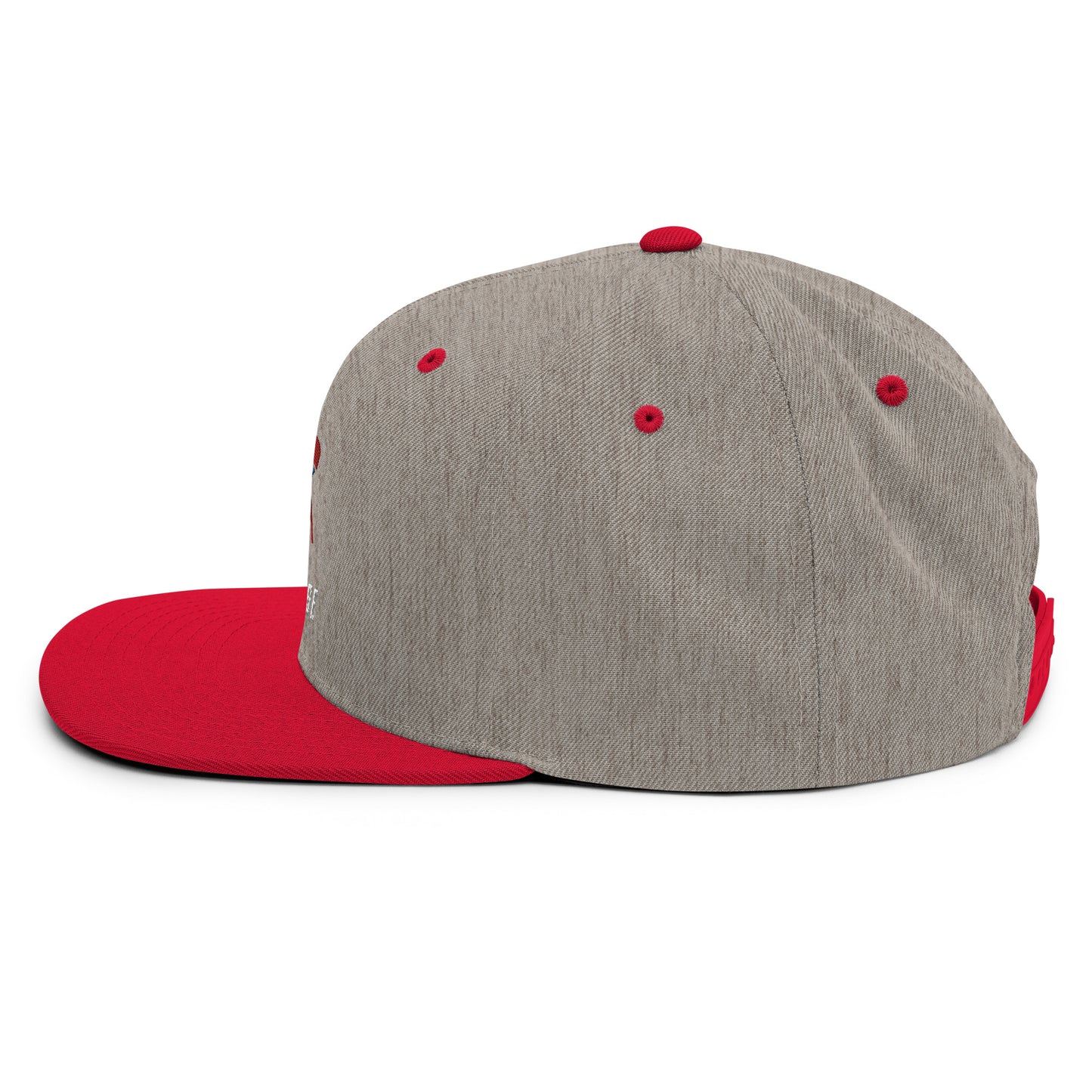 Bixby Spartan Snapback Hat