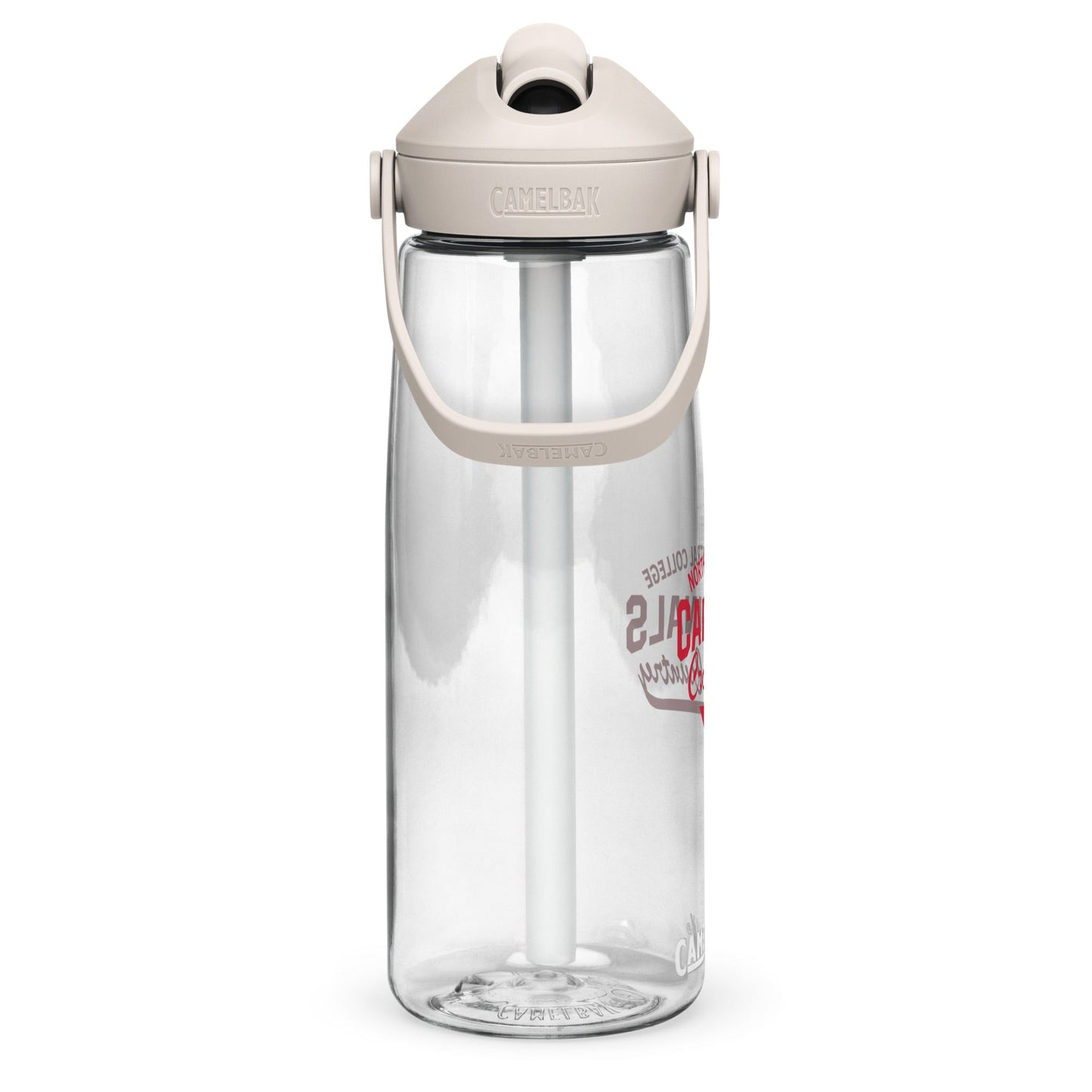 CamelBak Sports Water Bottle (25 oz)