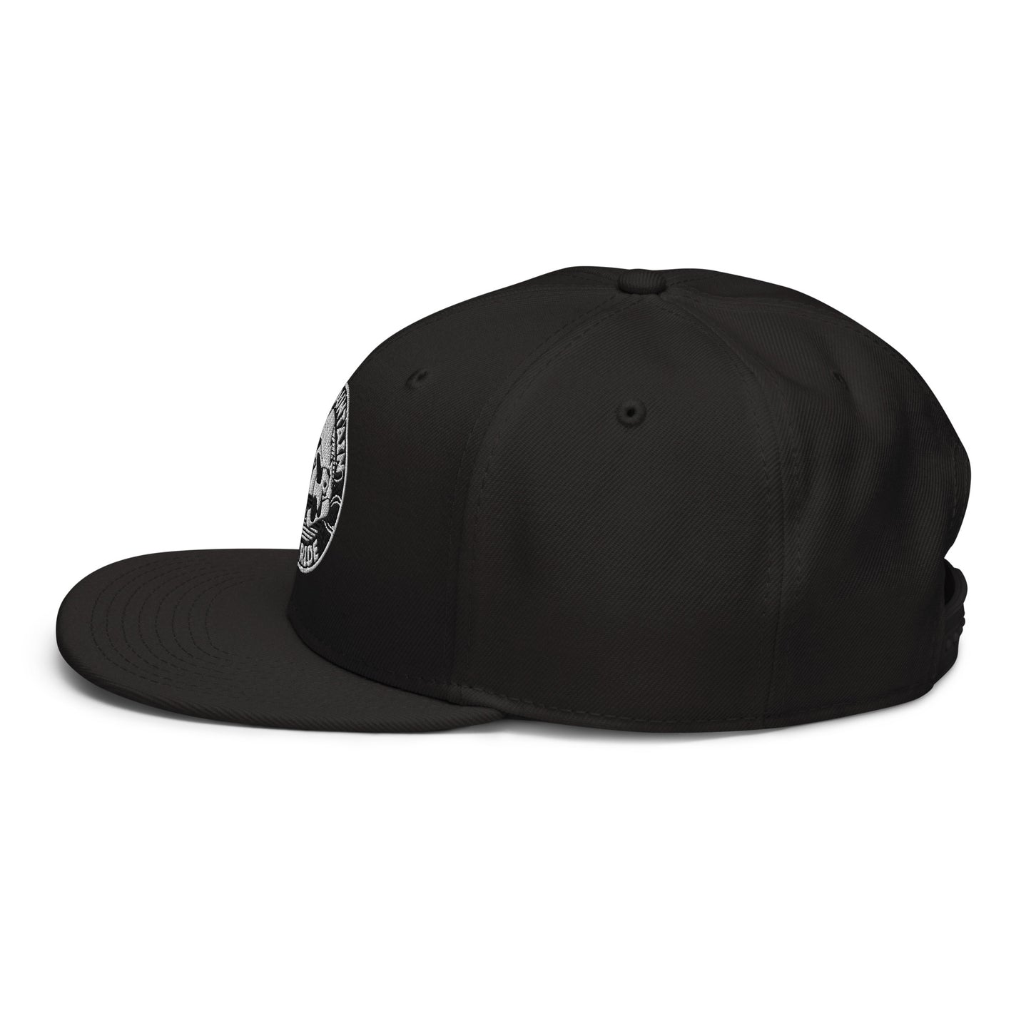 10th Mountain Lacrosse Otto Cap Snapback Hat