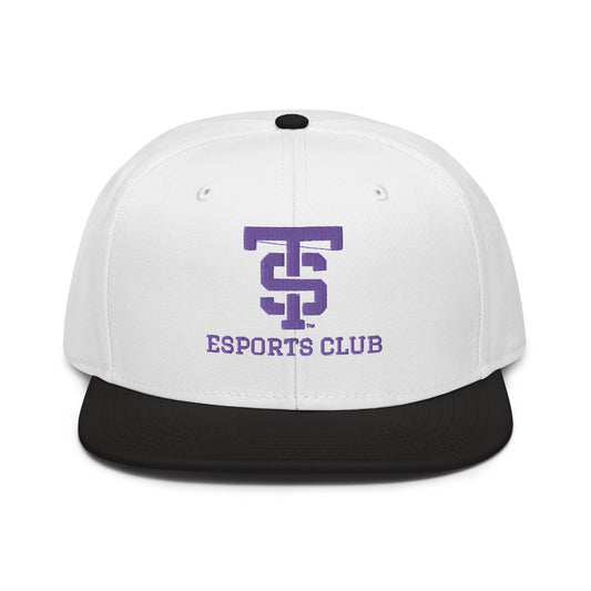 UST eSports Otto Cap Snapback