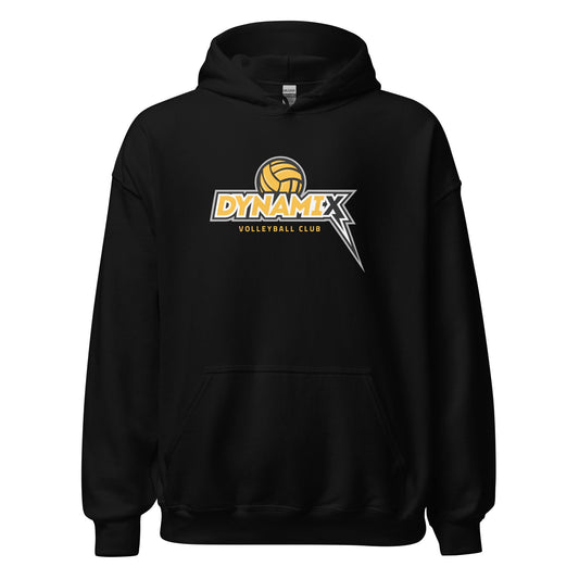 Adult Gildan Heavy Blend Hoodie