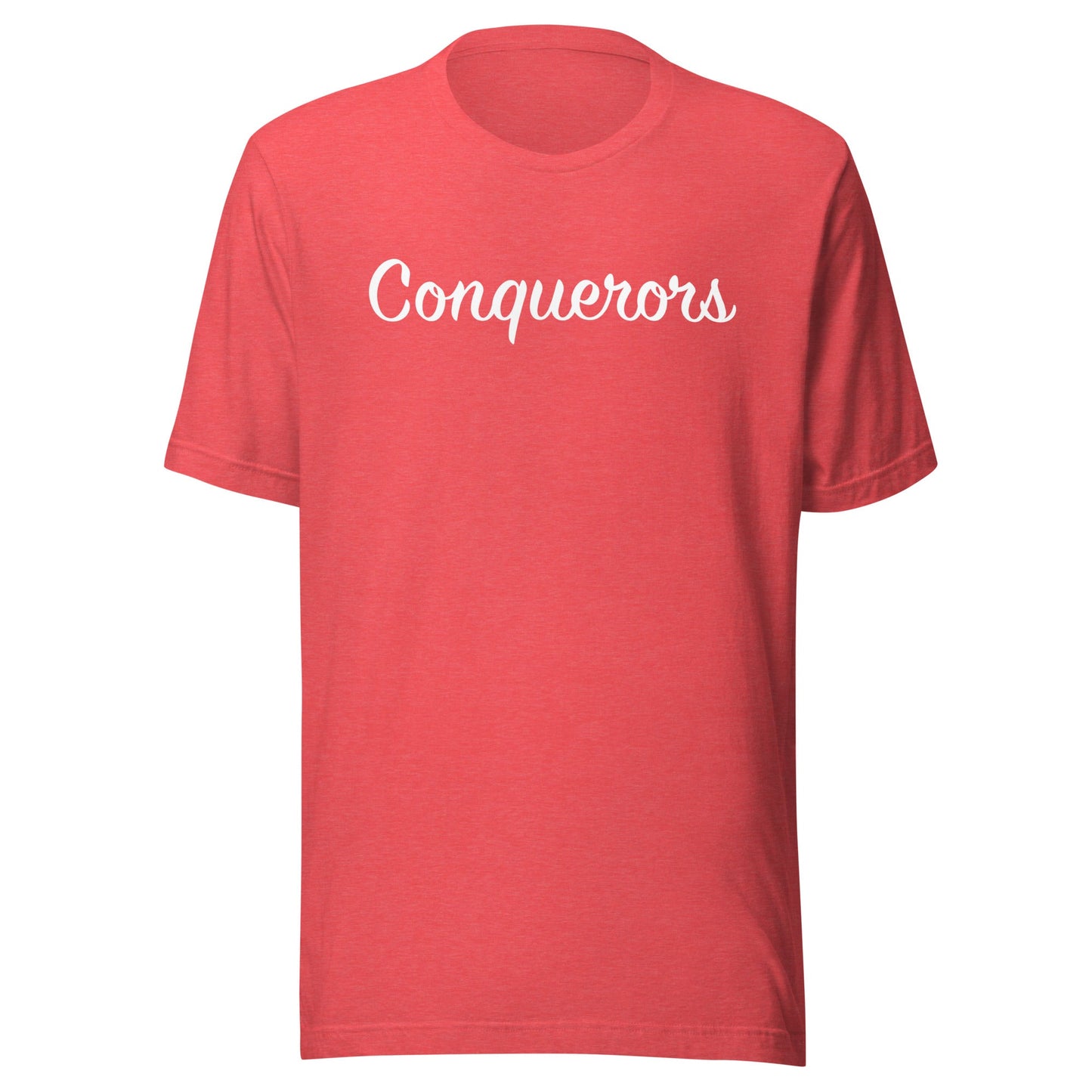 Adult Cotton Jersey T-Shirt