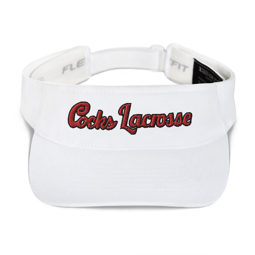 Visor