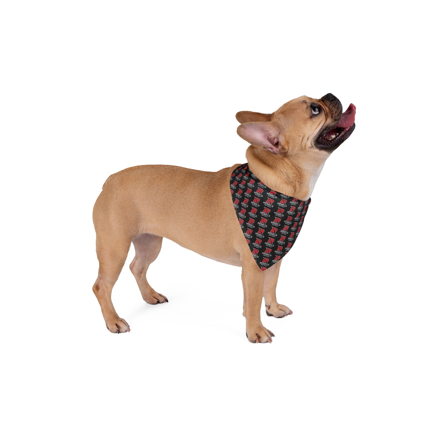 Rebels Softball Pet Bandana