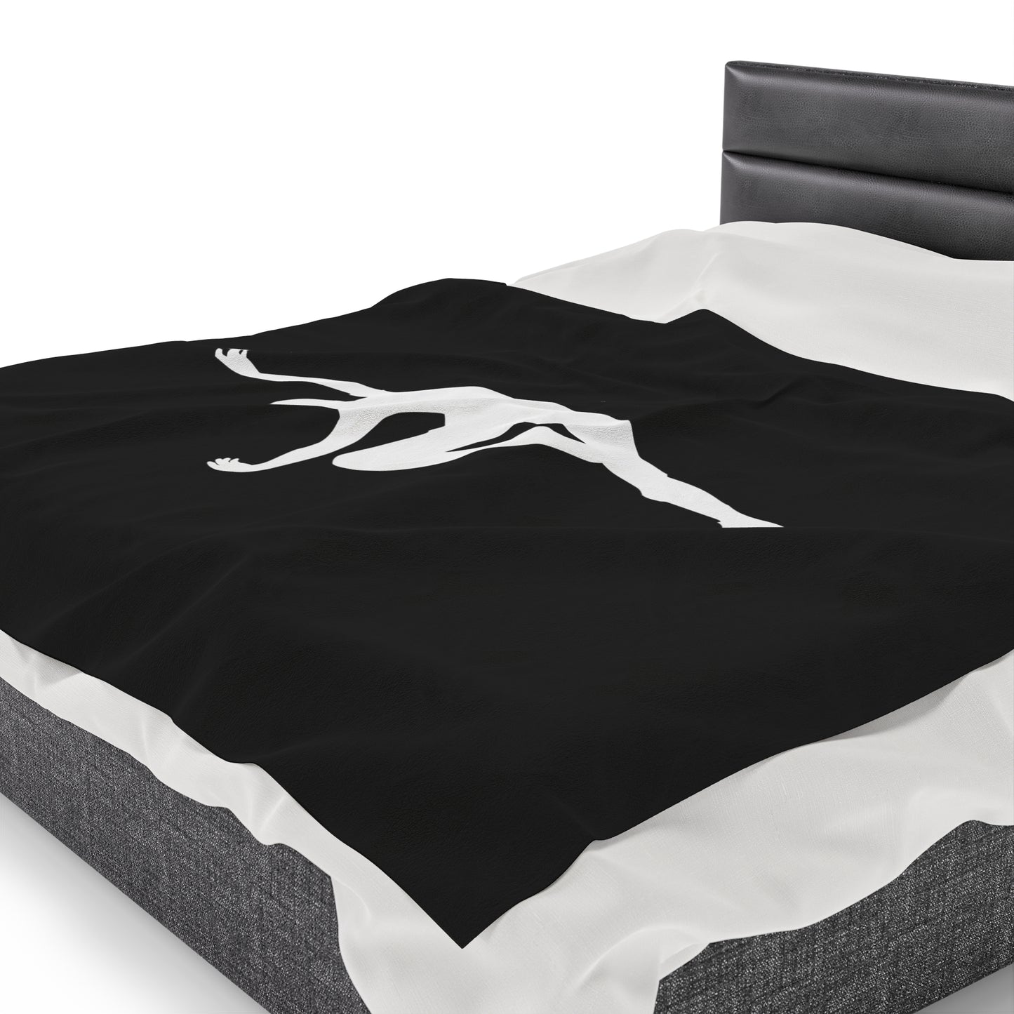 Raddatz Dance Velveteen Plush Blanket