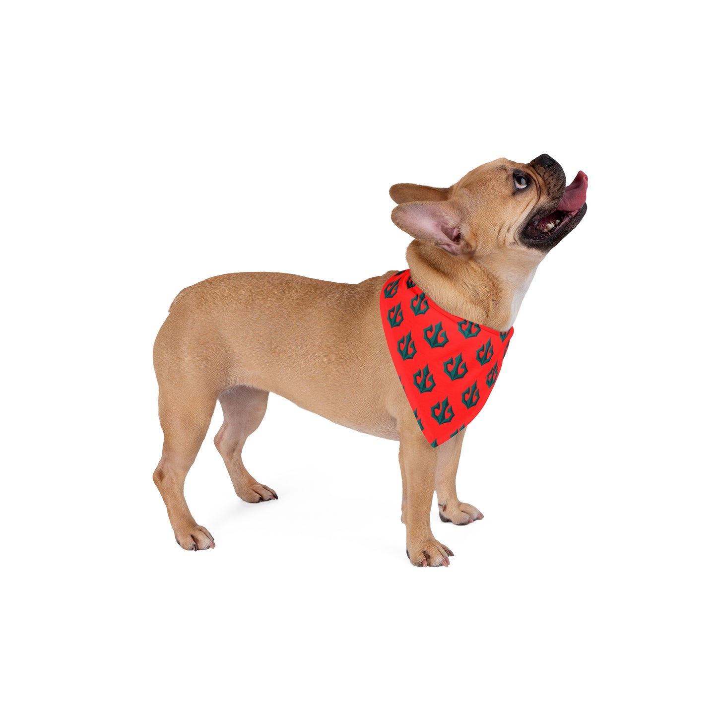 Tacoma Triton Pet Bandana