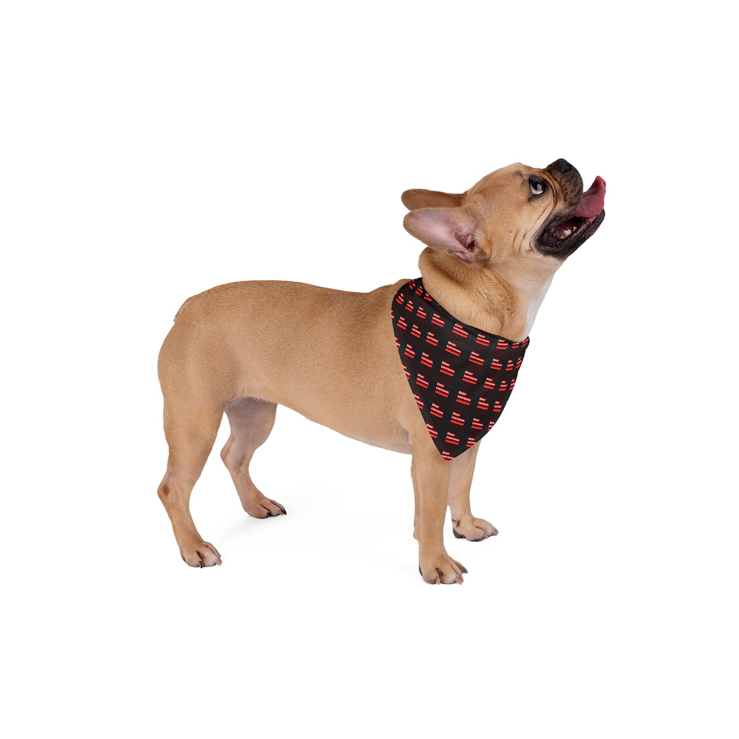 AMB Athletics Pet Bandana