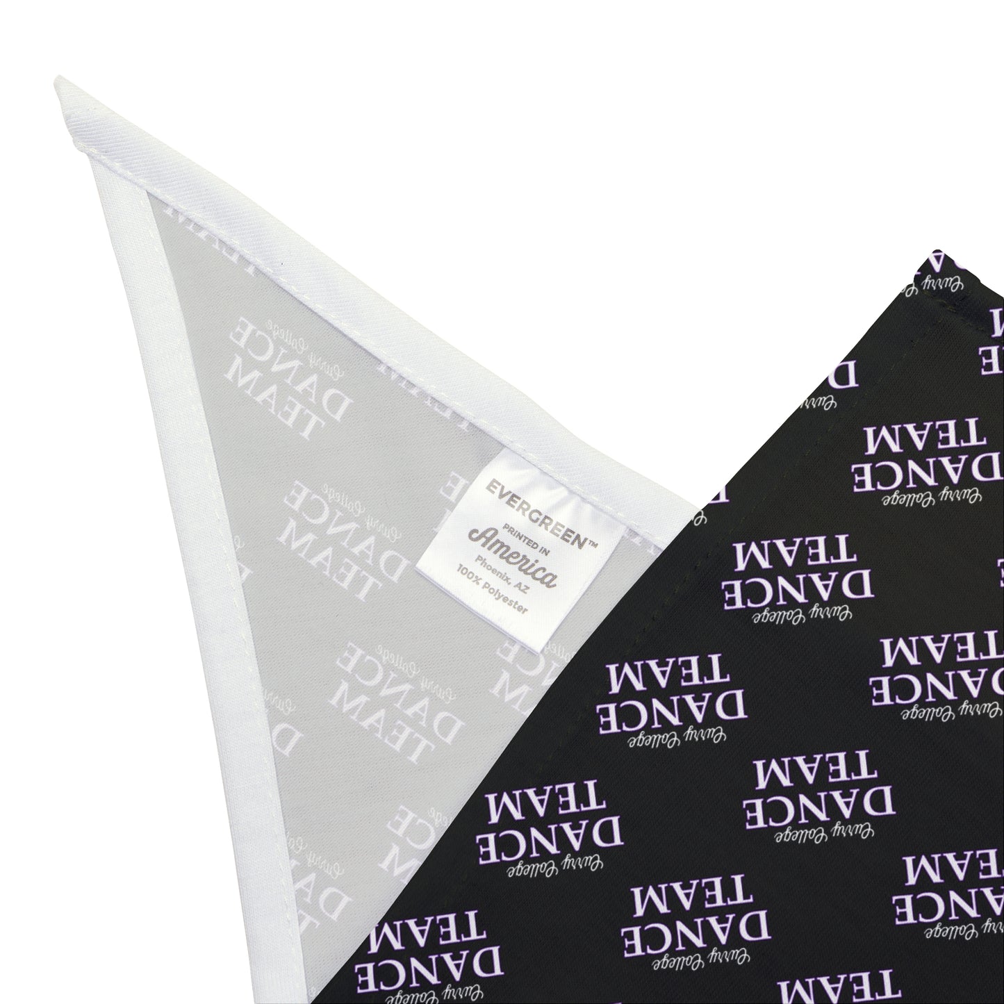 CC Dance Pet Bandana