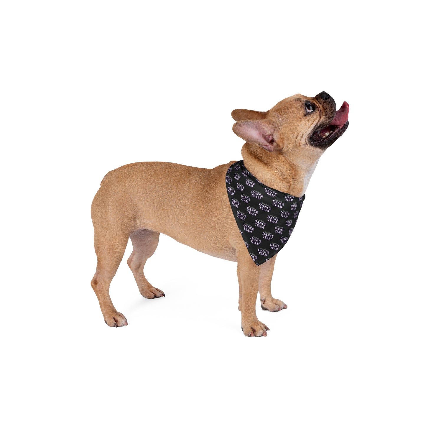 CC Dance Pet Bandana