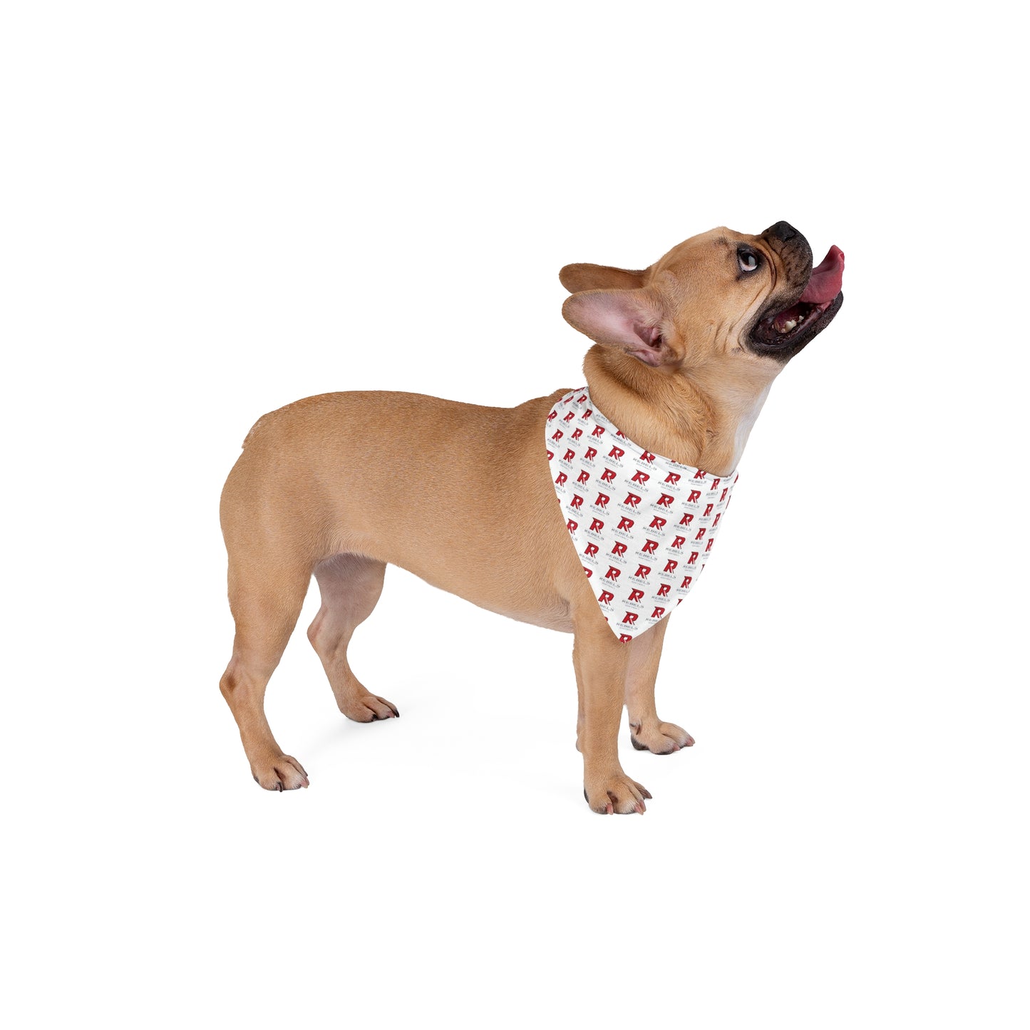 Rebels Softball Pet Bandana