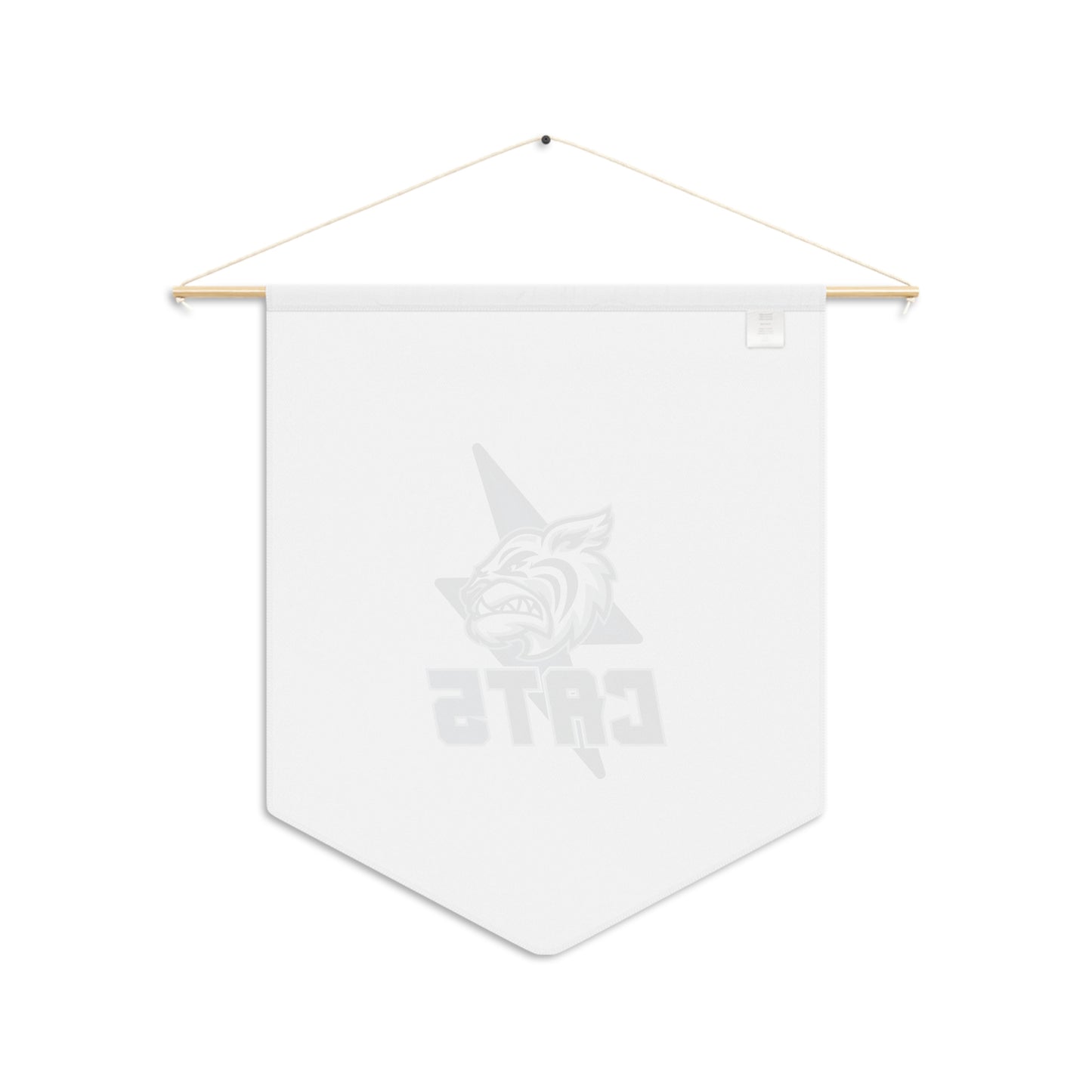 Academy at the Lakes Pennant