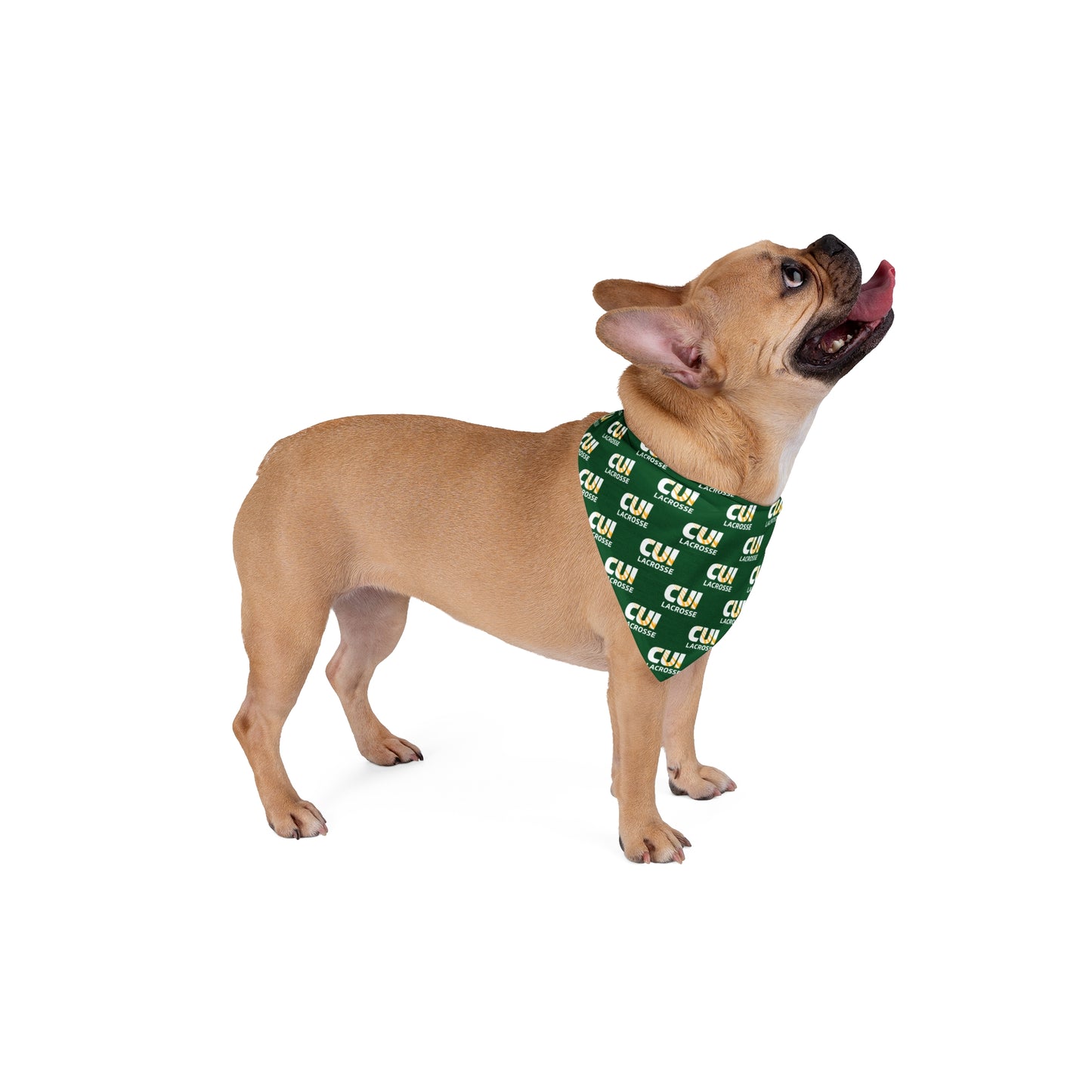 CUI Lacrosse Pet Bandana