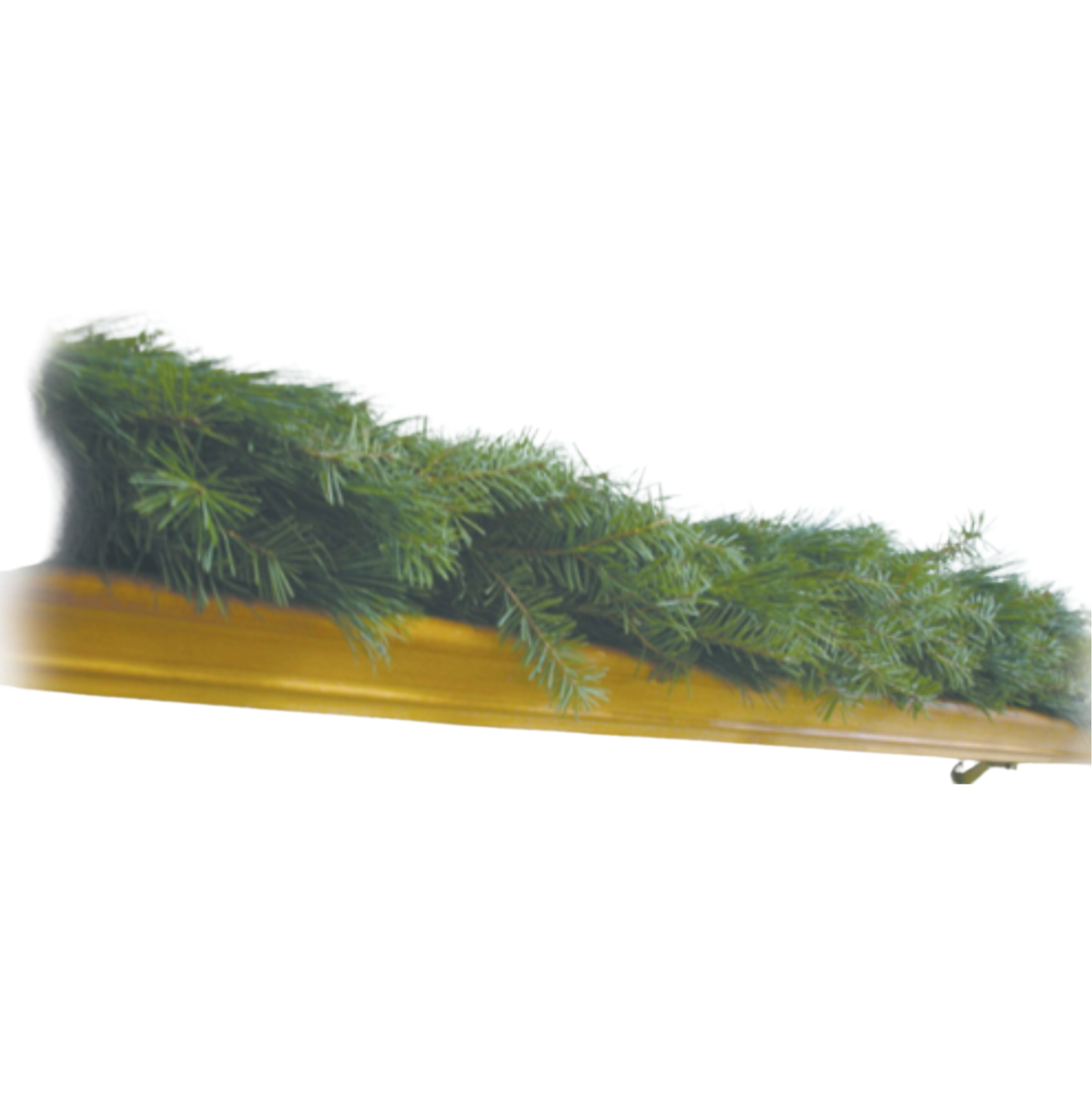 Douglas fir garland, 25 feet long