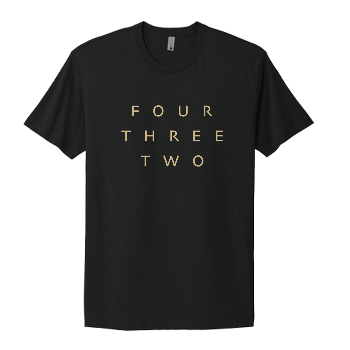 Adult Next Level Cotton T-Shirt