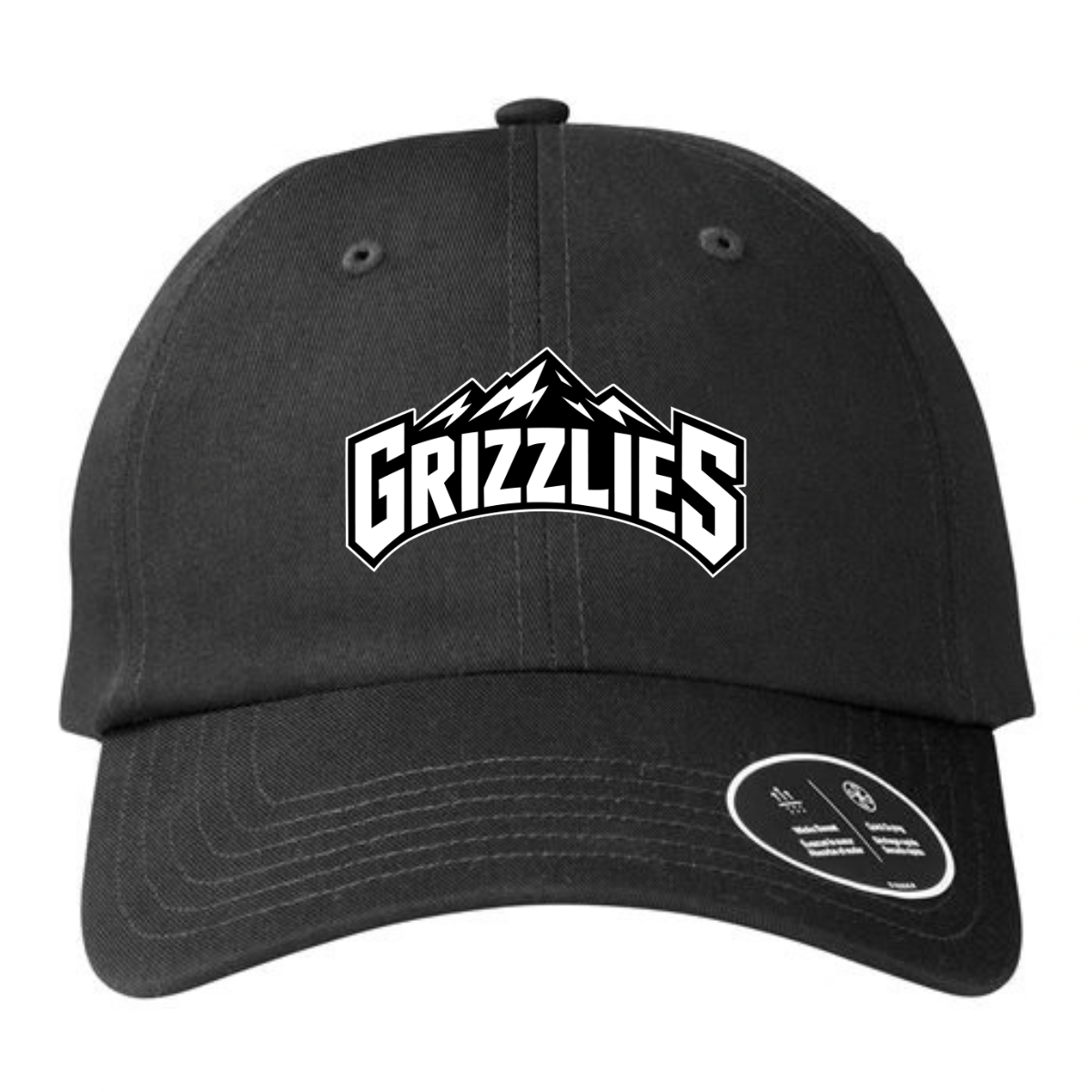 Tennessee Grizzlies Basketball Under Armour Dad Hat