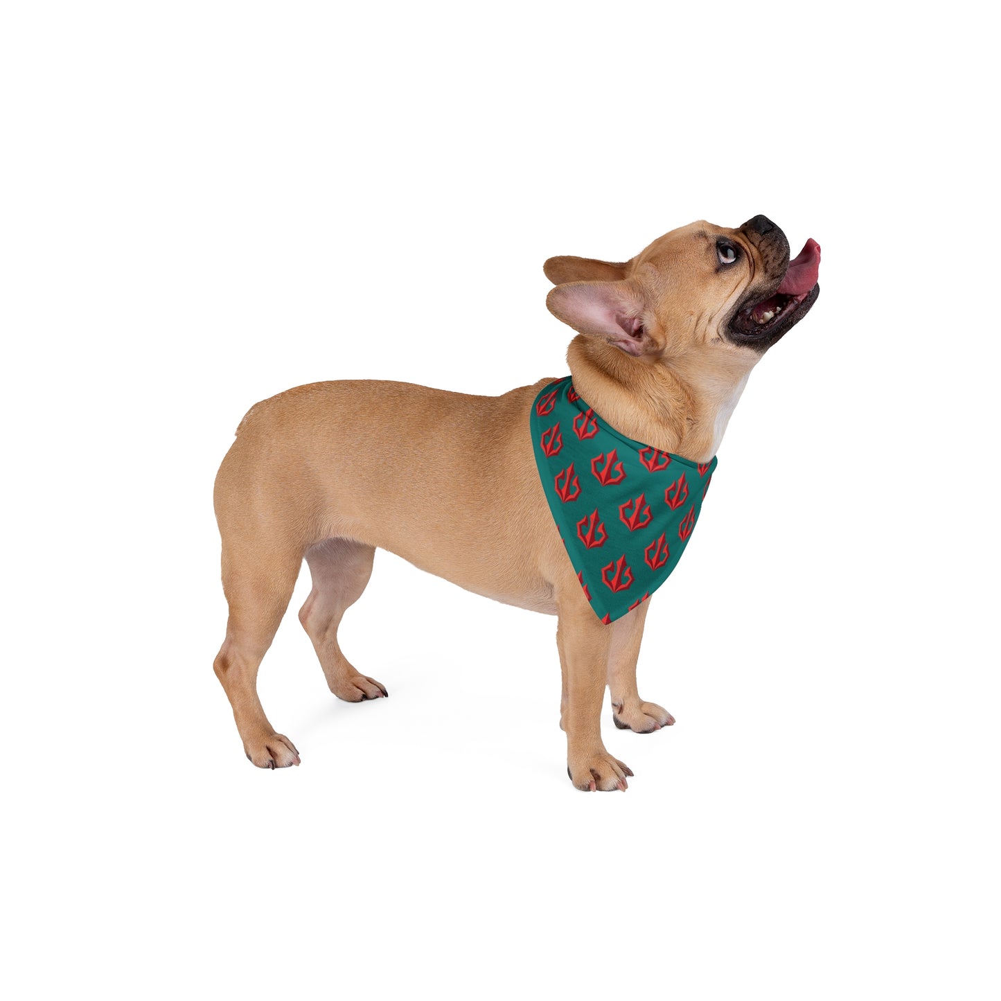 Tacoma Triton Pet Bandana