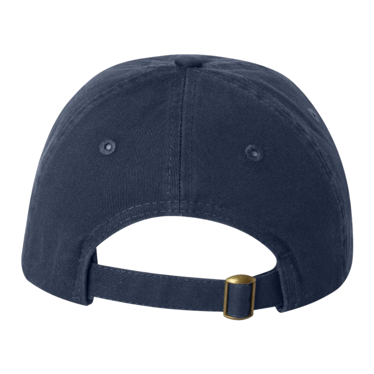 Sun Valley Community School Valucap Dad Hat