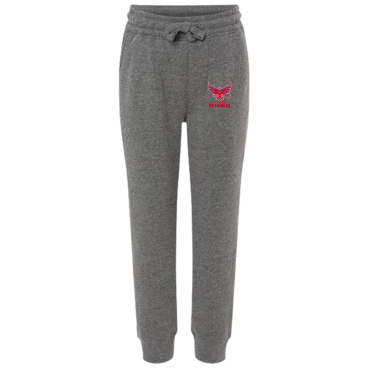 Youth Crystal City Skyhawks Lightweight Blend Sweatpants