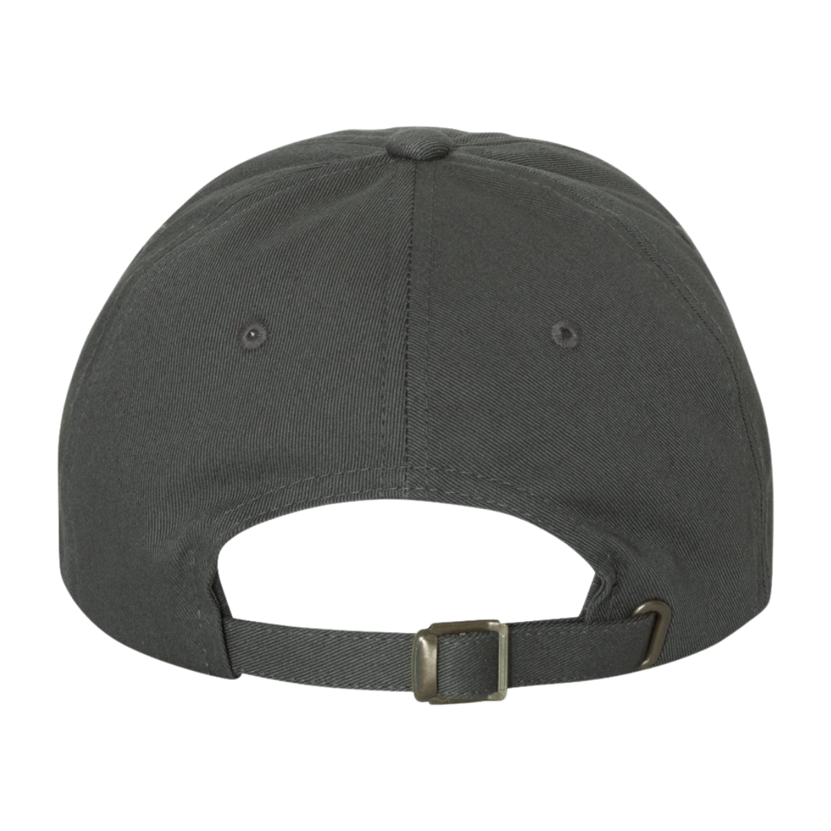 Sun Valley Community School YP Classics Dad's Cap