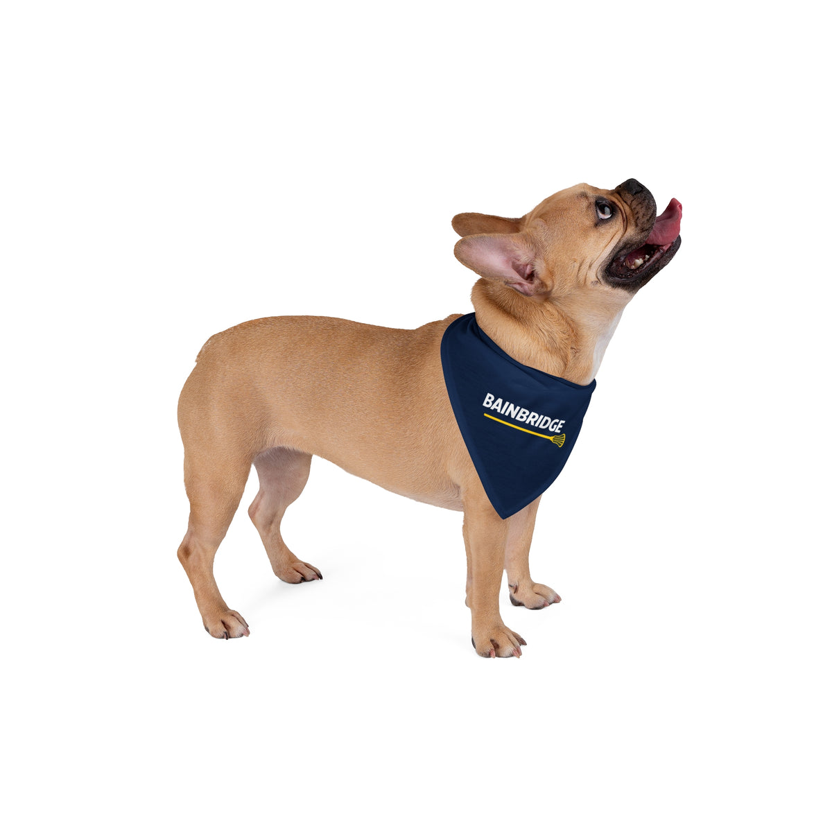 Bainbridge Lacrosse Pet Bandana
