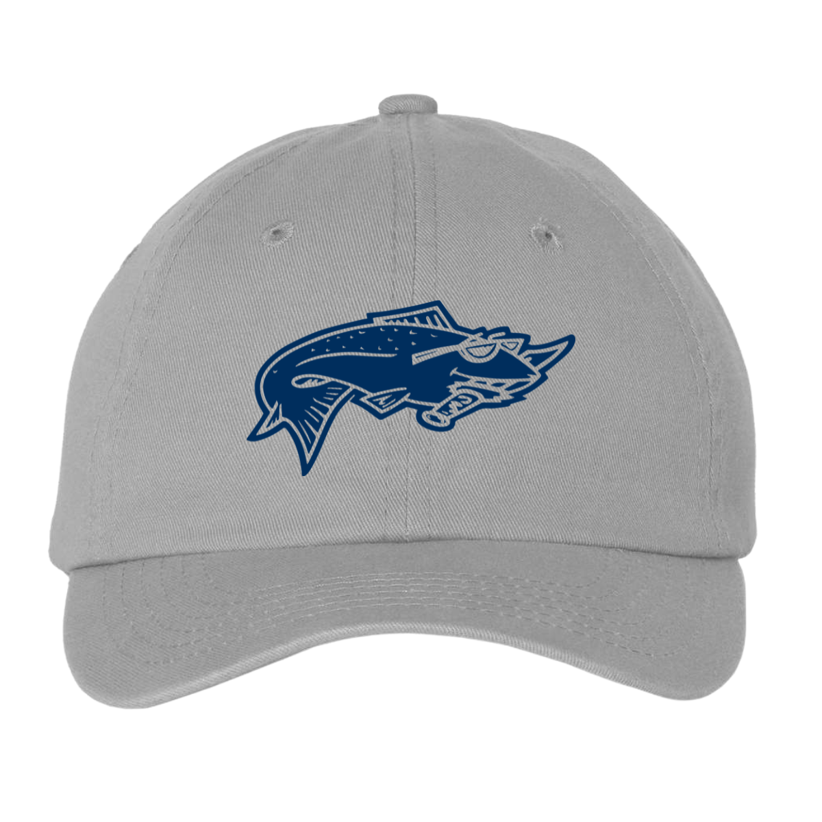 Sun Valley Community School Valucap Dad Hat