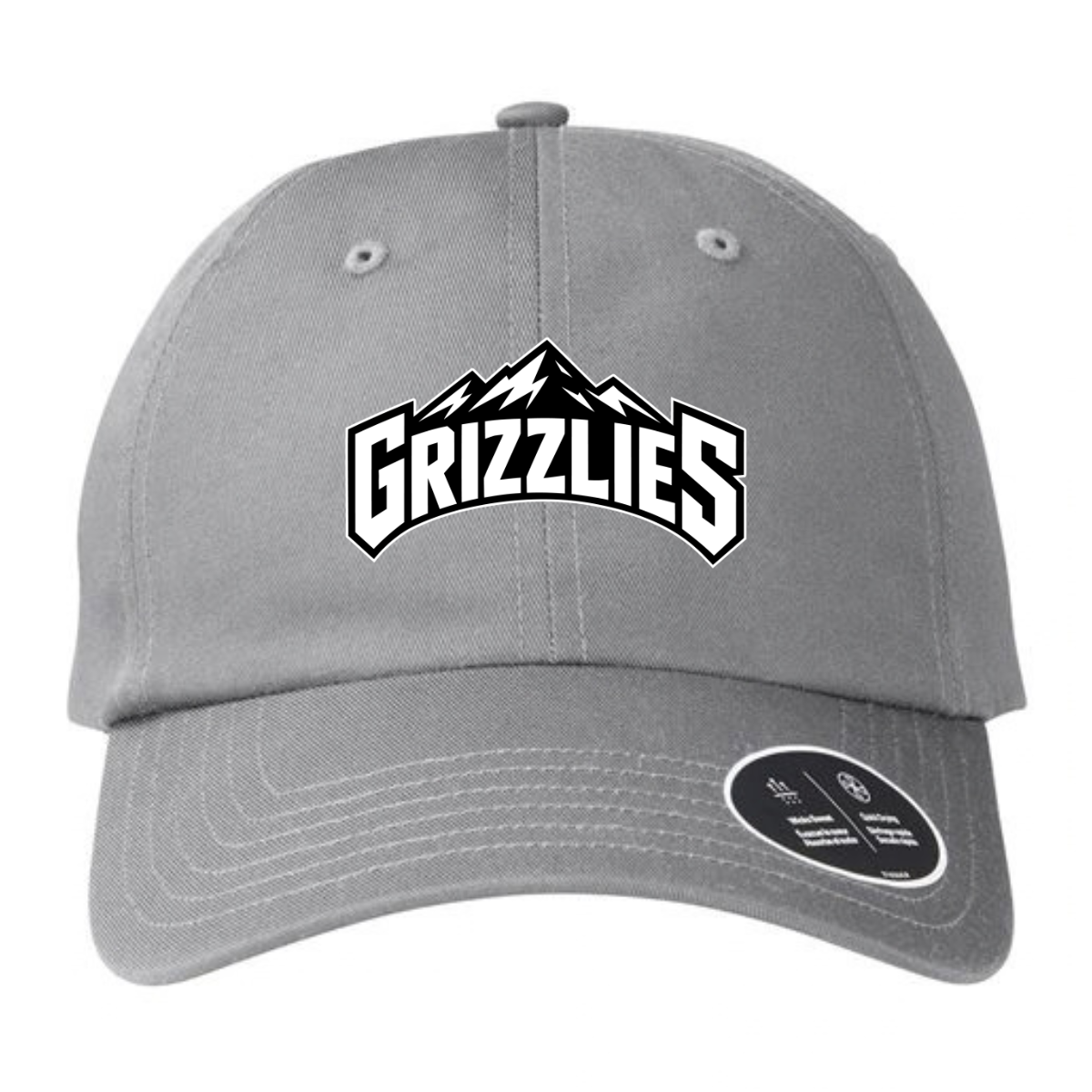 Tennessee Grizzlies Basketball Under Armour Dad Hat