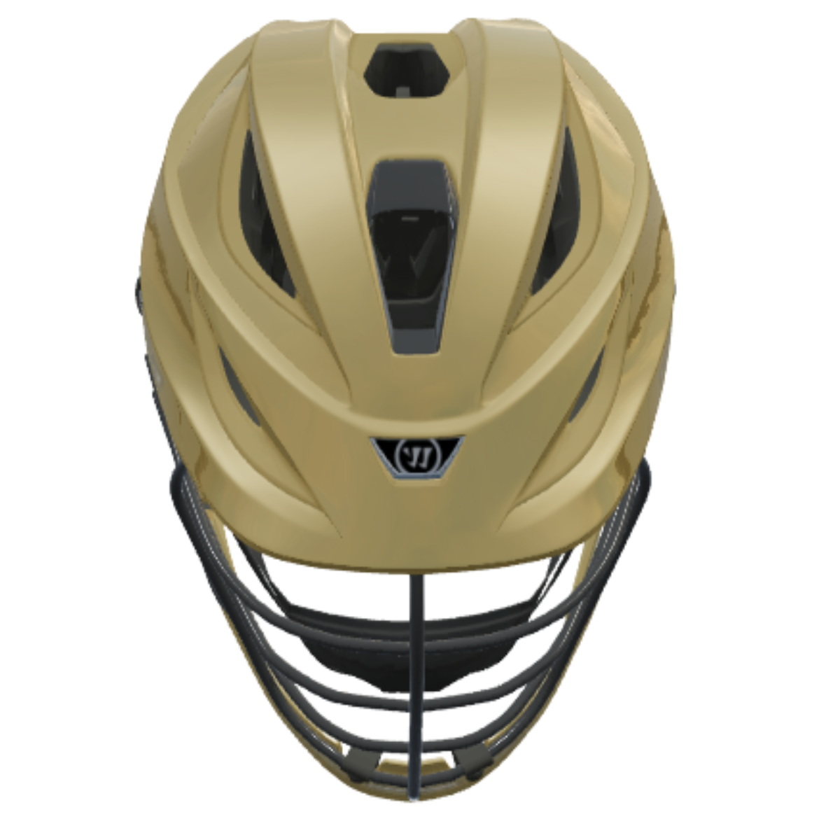 Custom Gold Warrior Burn X Helmet