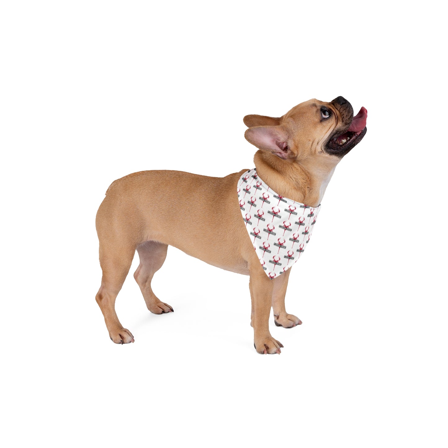 Florida Prime Lacrosse Pet Bandana