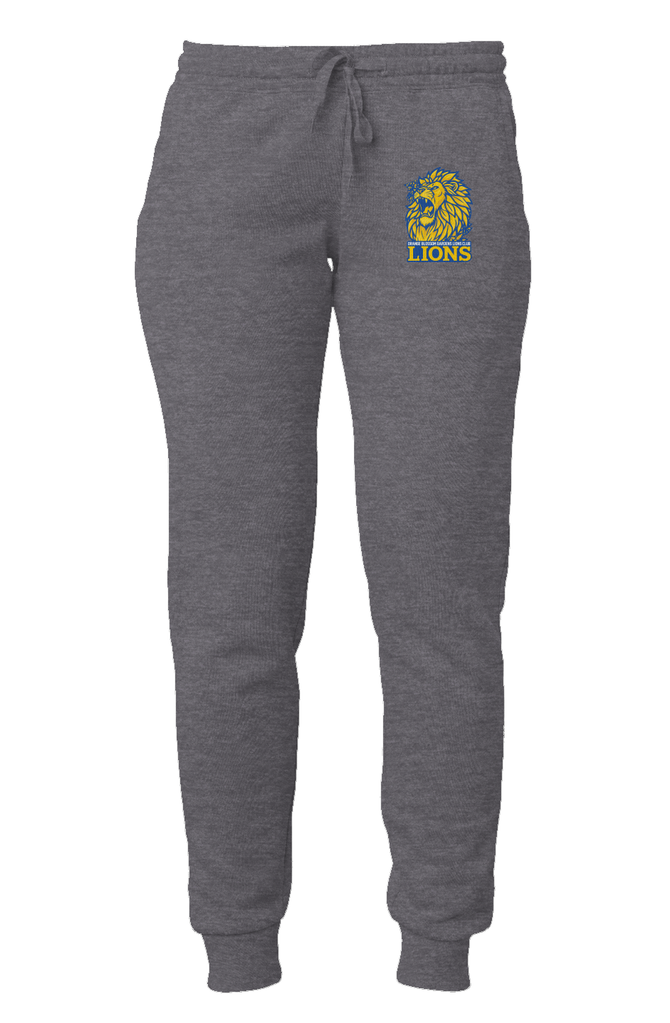 Women's Lions Wave Wash Sweatpants