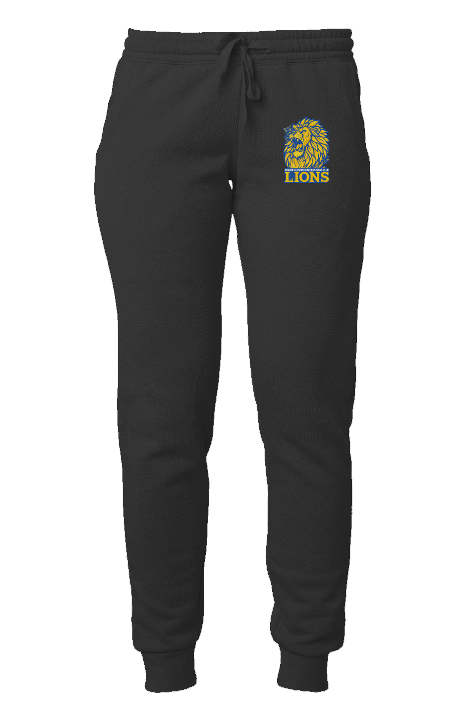 Women's Lions Wave Wash Sweatpants