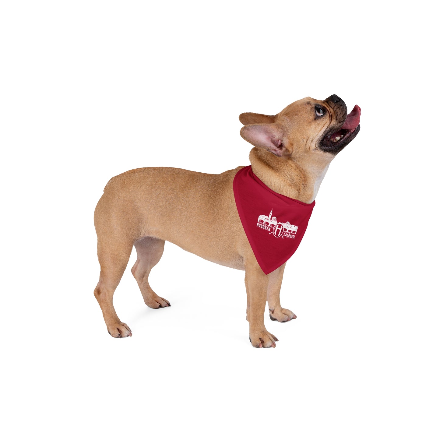 Hoboken Lacrosse Pet Bandana