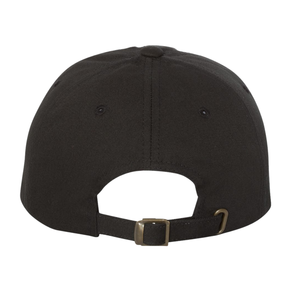 Sun Valley Community School YP Classics Dad's Cap