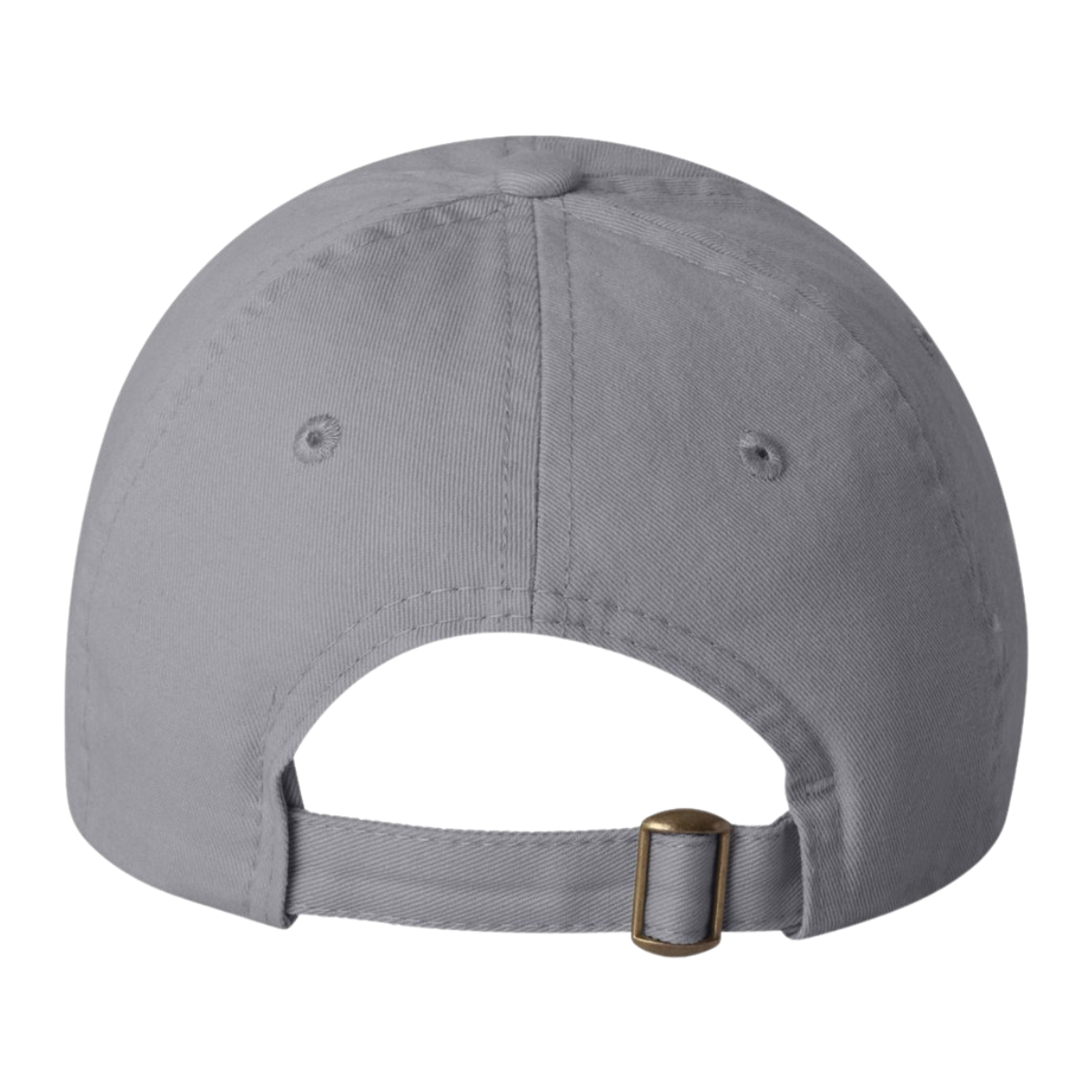 Sun Valley Community School Valucap Dad Hat