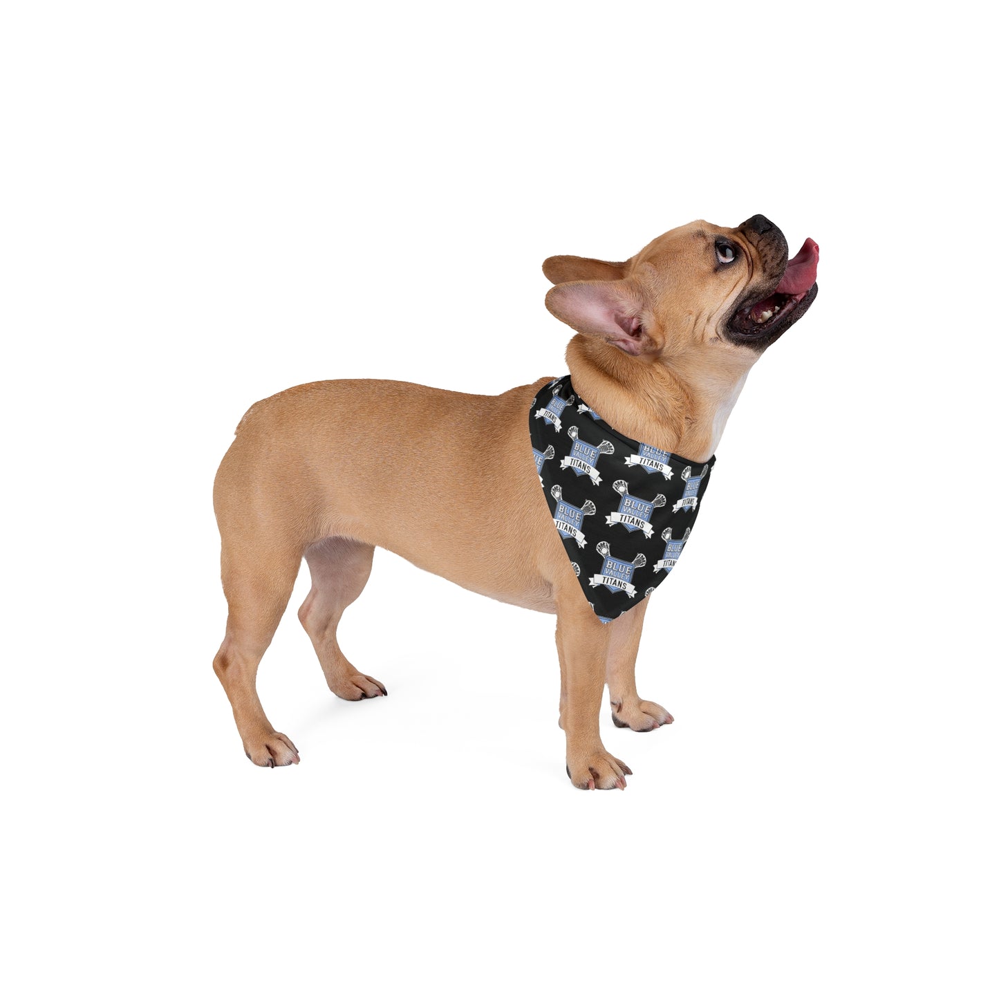 BV Titans Pet Bandana