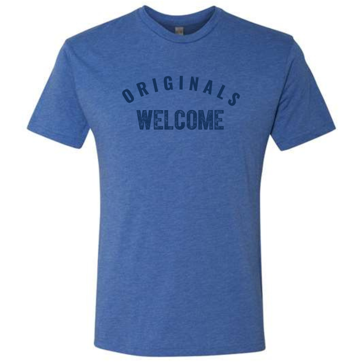 Adult Sun Valley Community School Next Level Tri-Blend Tee