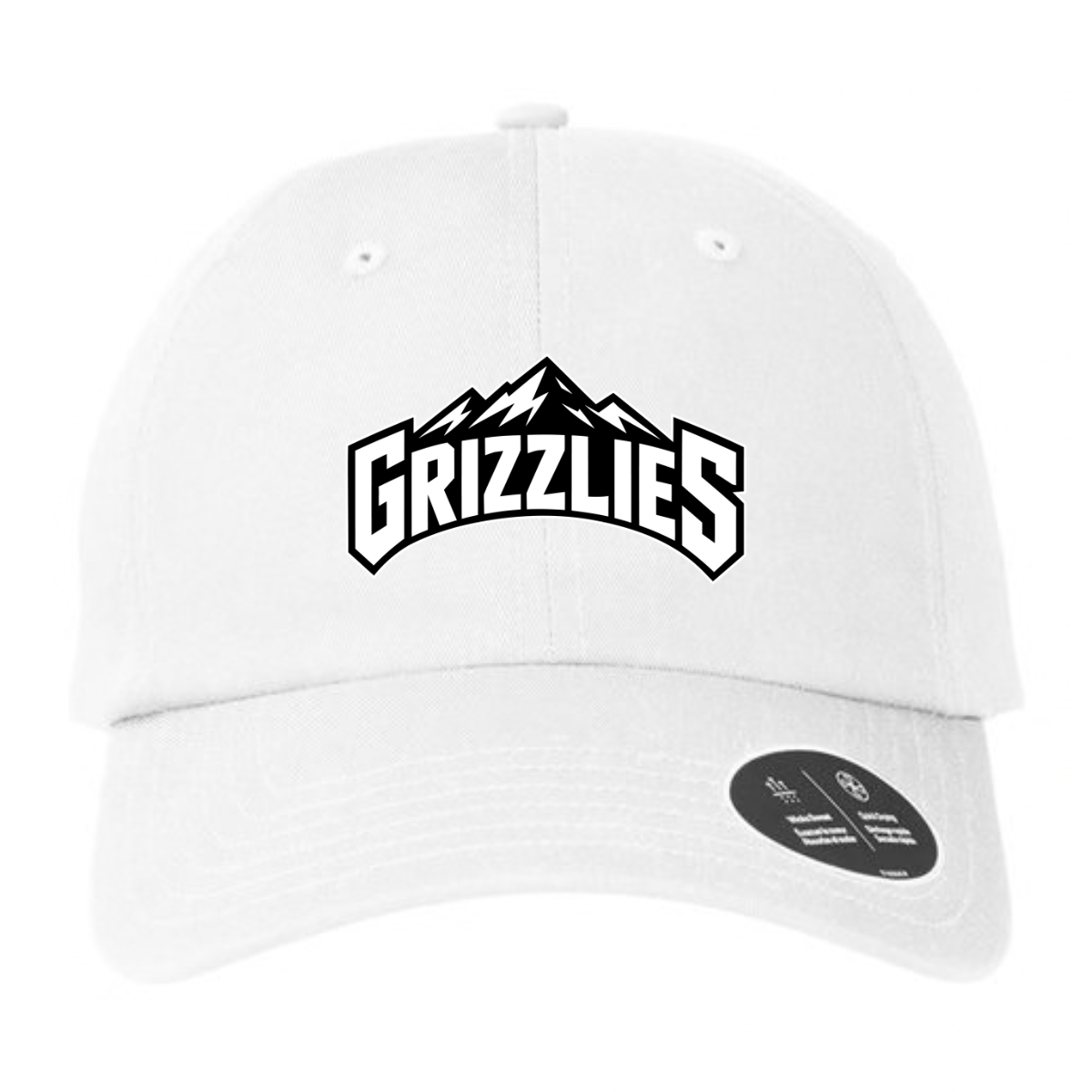 Tennessee Grizzlies Basketball Under Armour Dad Hat