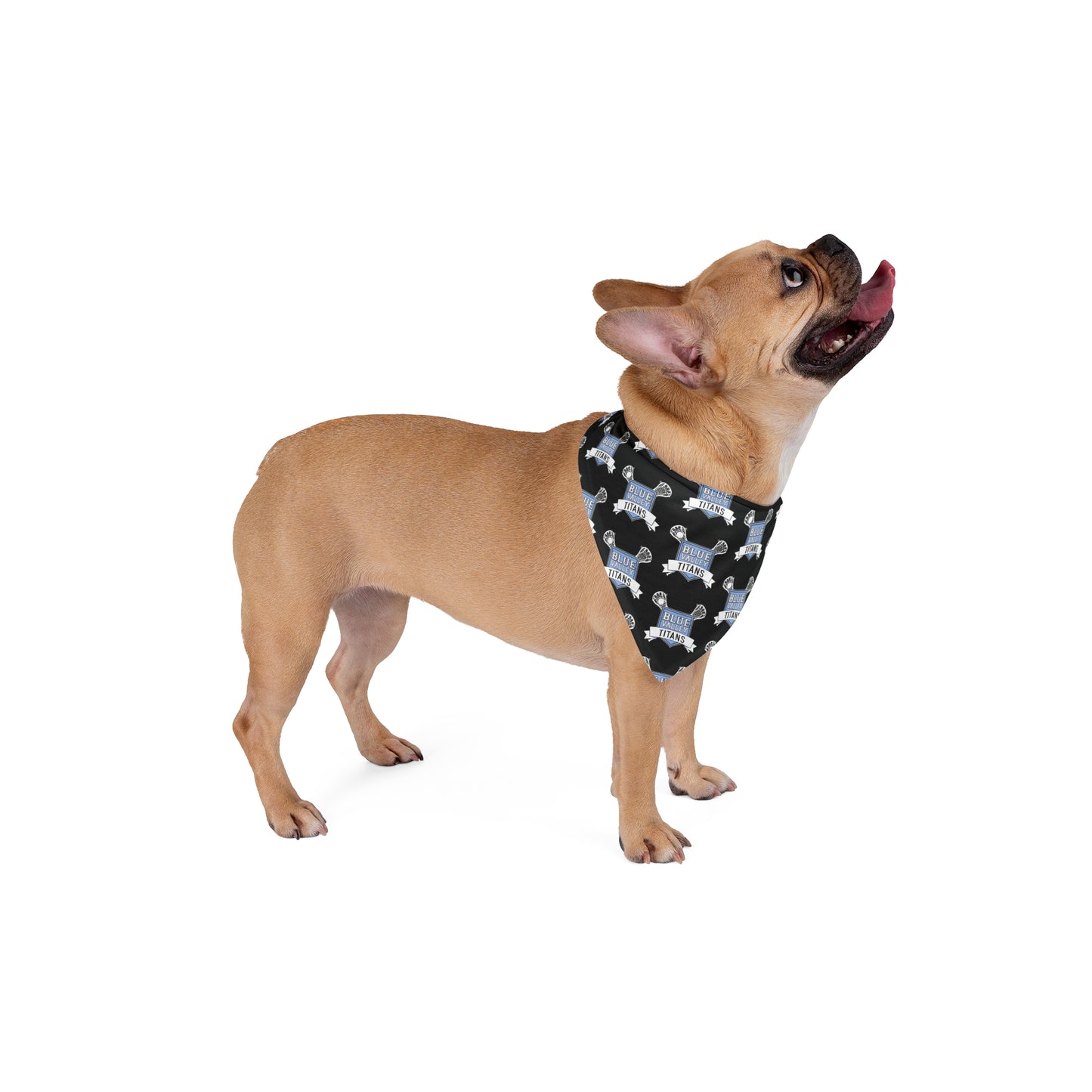 BV Titans Pet Bandana