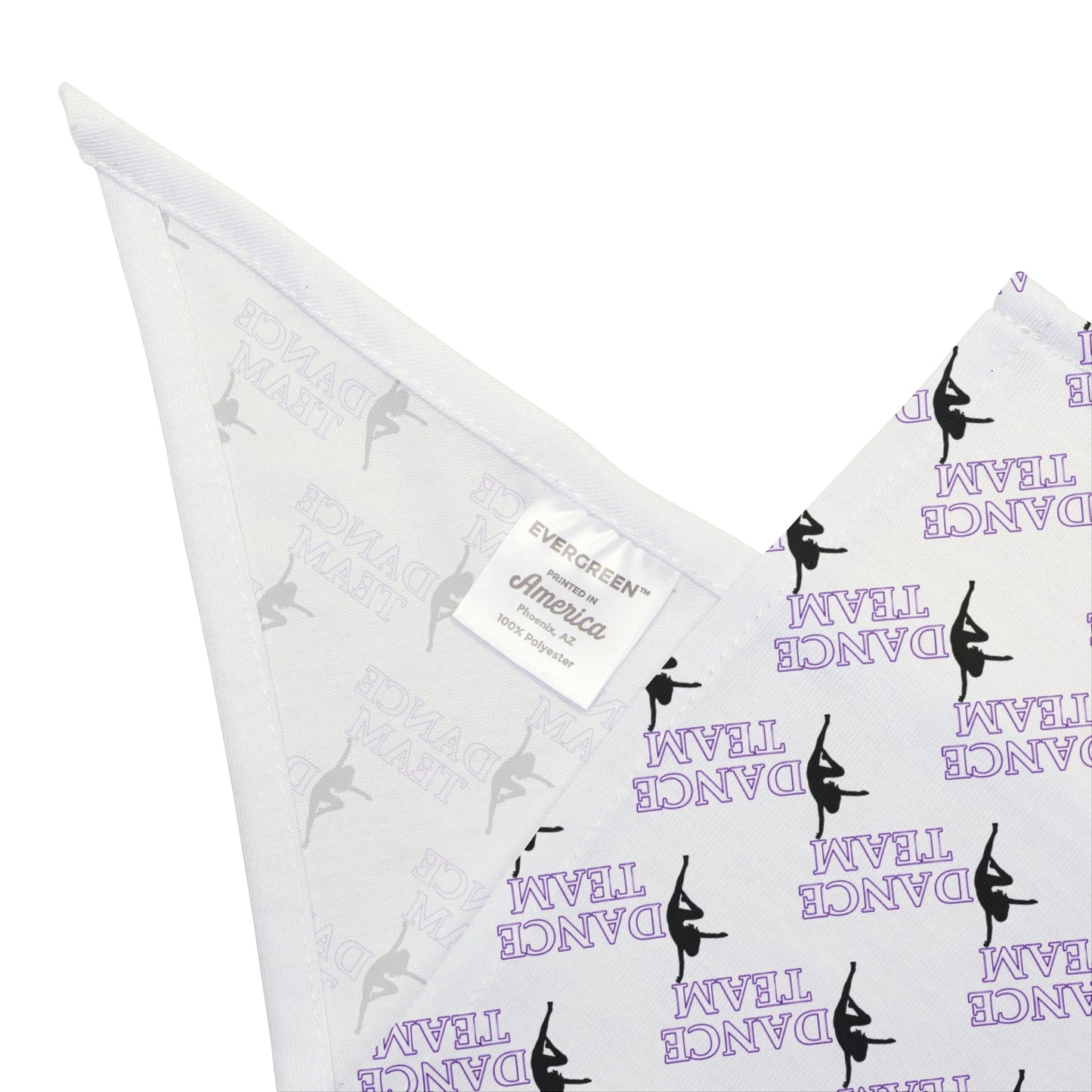 CC Dance Pet Bandana