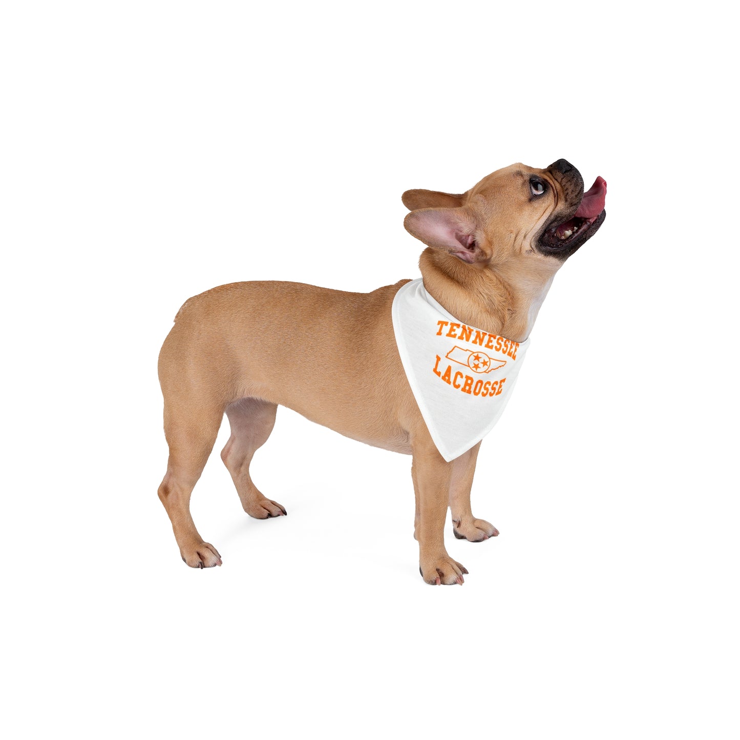 Tennessee Lacrosse Pet Bandana