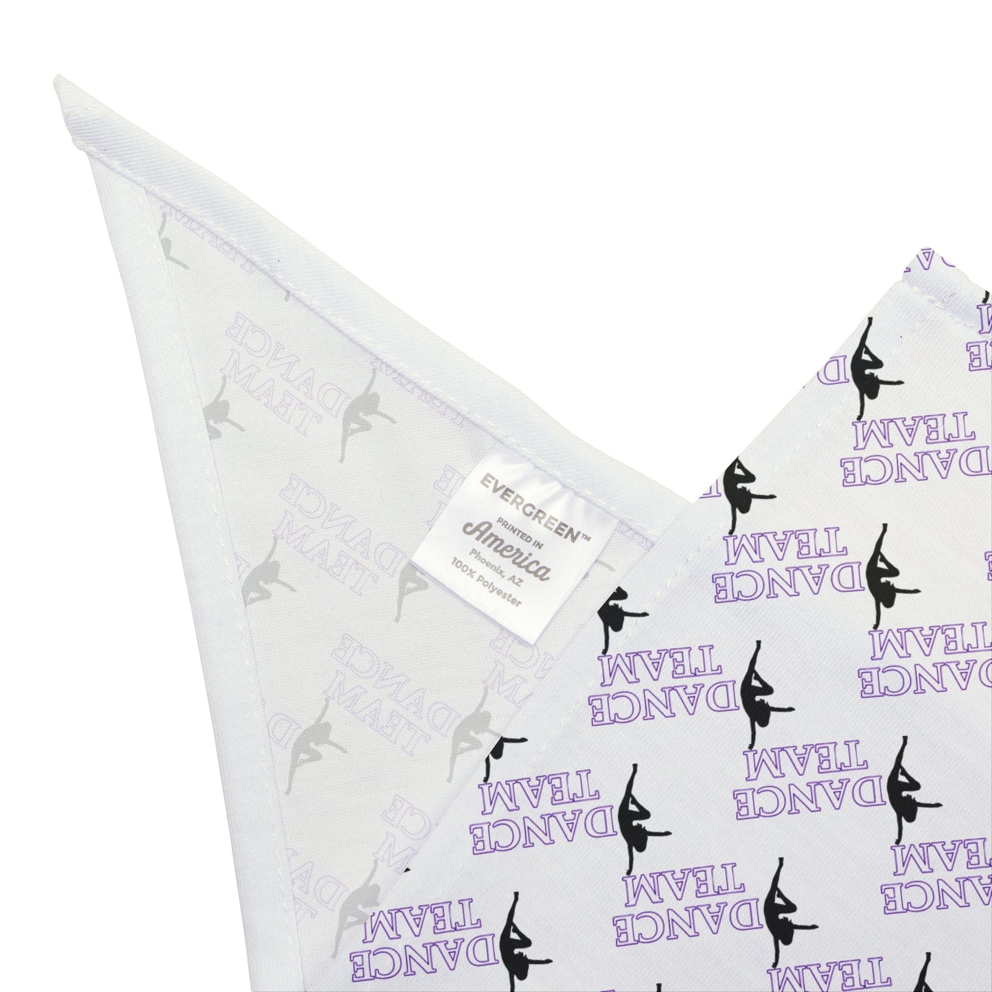 CC Dance Pet Bandana