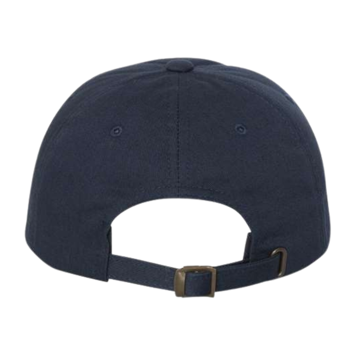 Sun Valley Community School YP Classics Dad's Cap