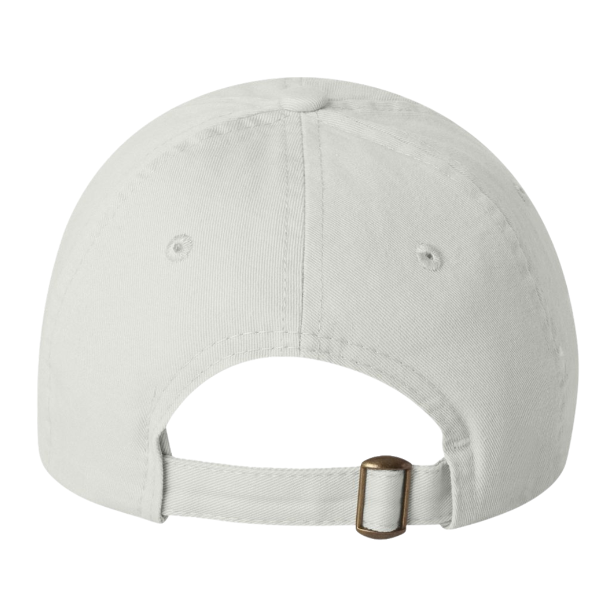 Sun Valley Community School Valucap Dad Hat